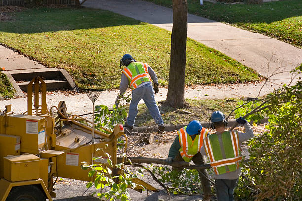 Soil Testing and Treatment in Grant, MI